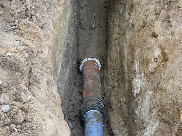 Best Professional water damage repair  in Coalgate, OK
