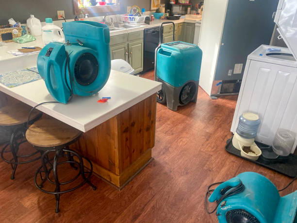 Best Water damage restoration near me  in Coalgate, OK